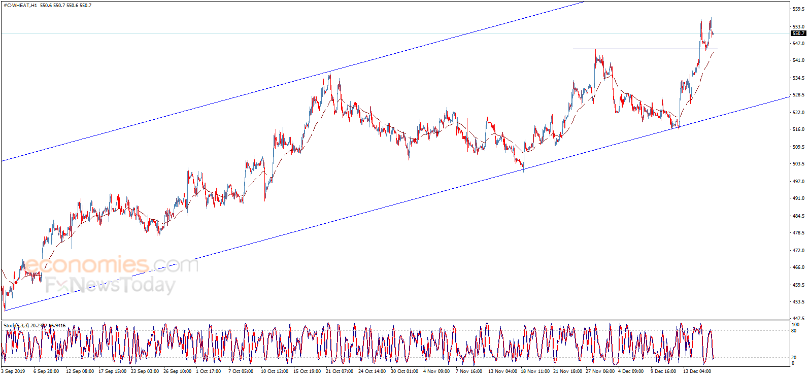 Wheat price resumes rising – Analysis - 18-12-2019