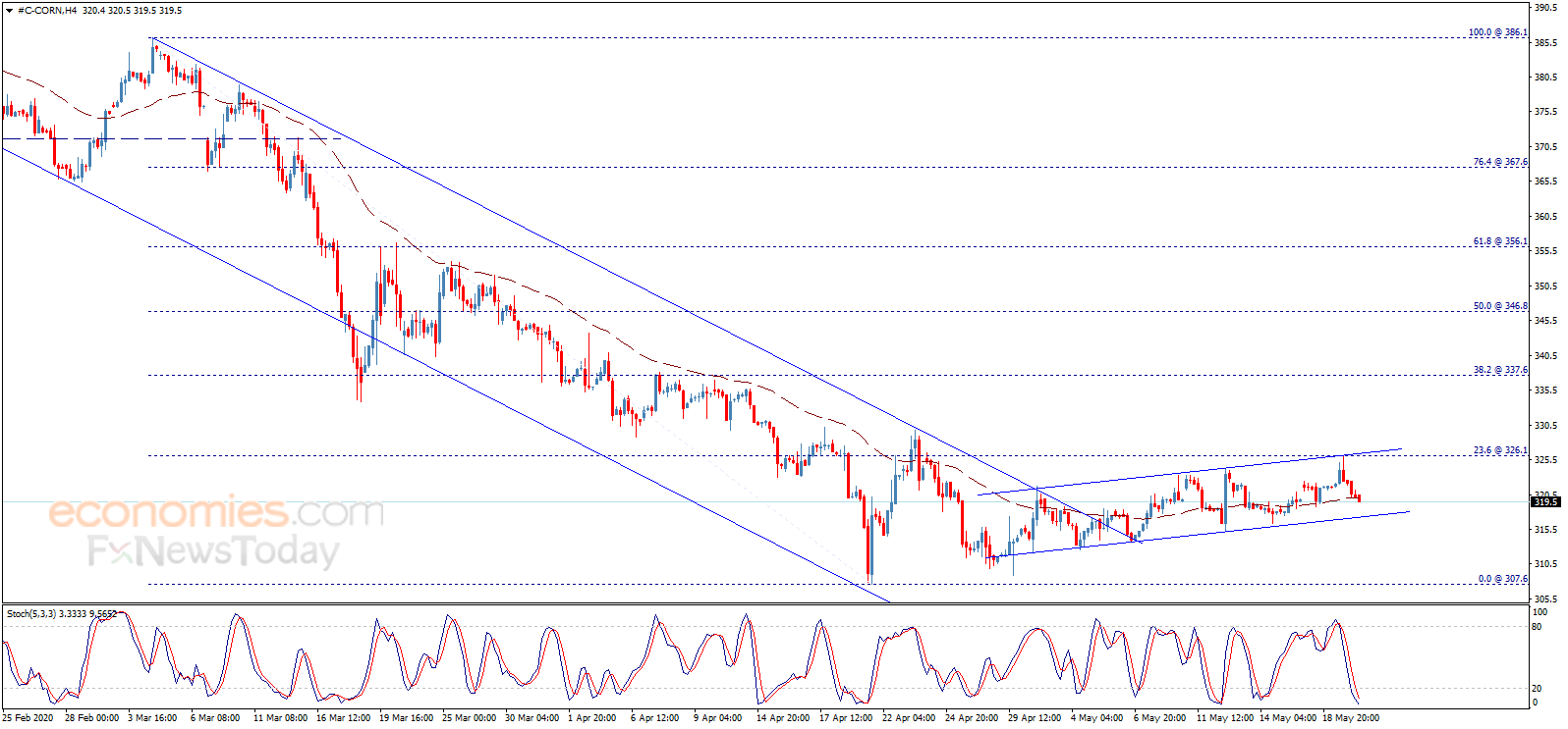 Midday update for Corn price 20-05-2020