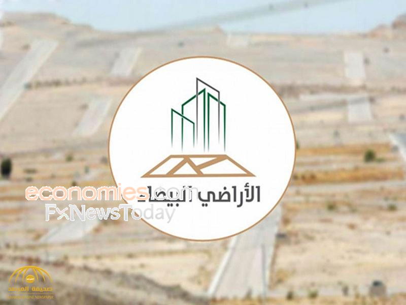 برنامج الأراضي البيضاء يعلن بدء تطبيق الرسوم بالمدينة المنورة وعسير  