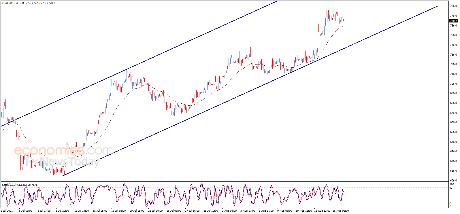 Wheat price keeps its positive stability – Analysis - 17-08-2021