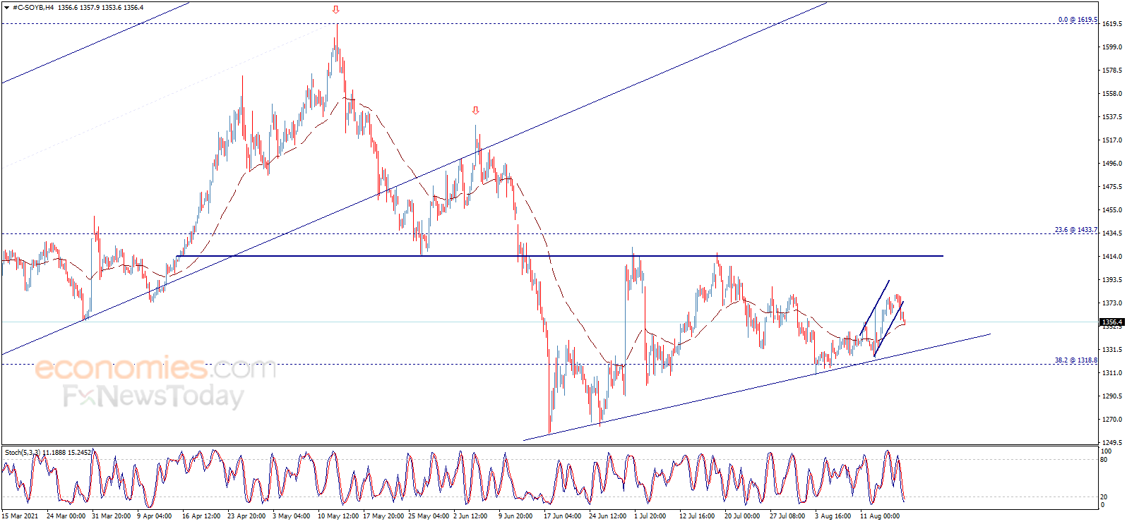 Soybean price declines again – Analysis - 18-08-2021
