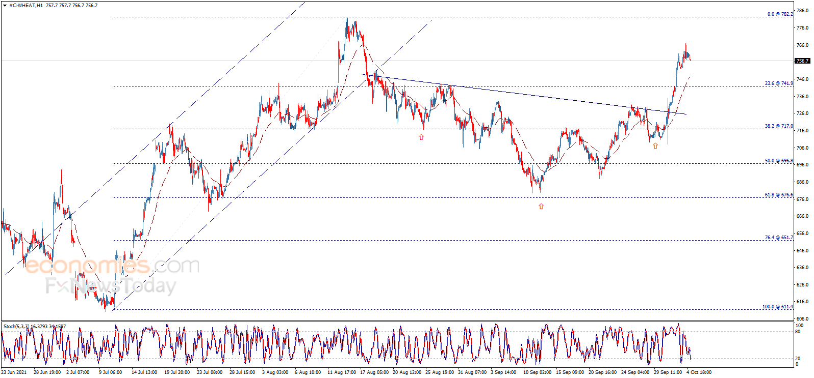 Wheat price is forced for some decline – Analysis - 05-10-2021