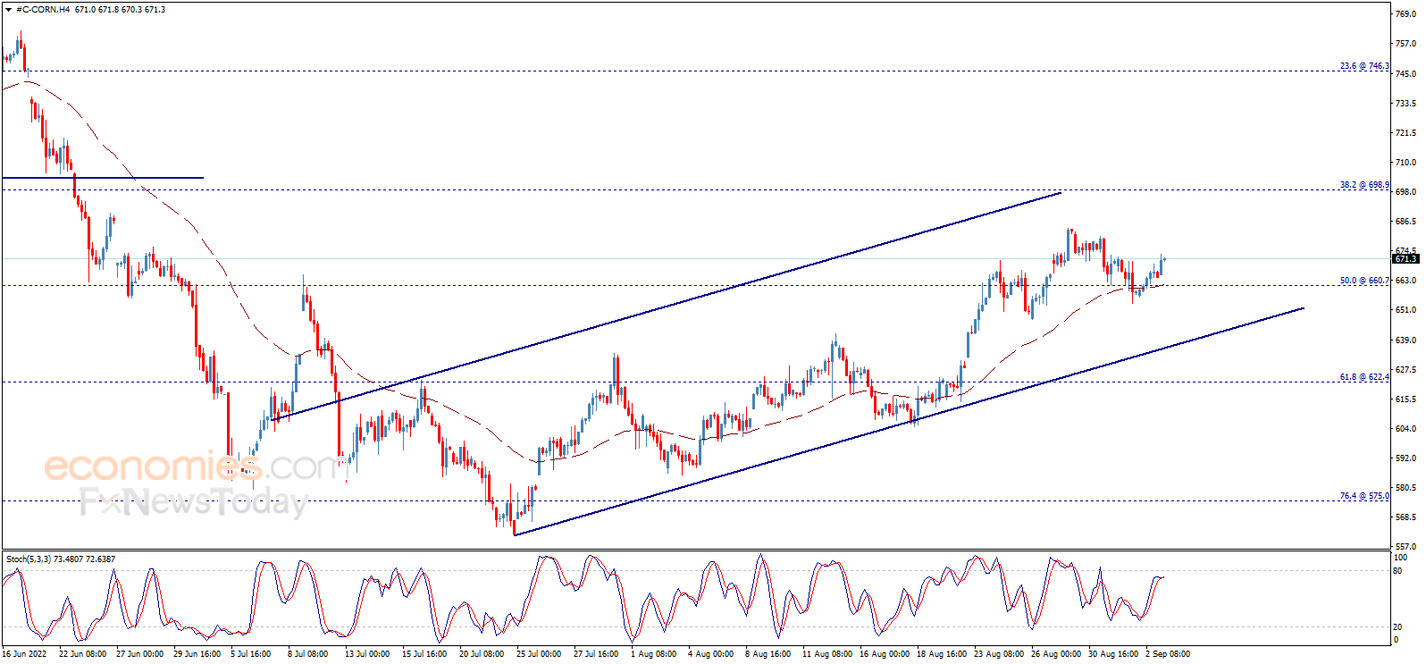 Corn price is recovering Analysis 06092022