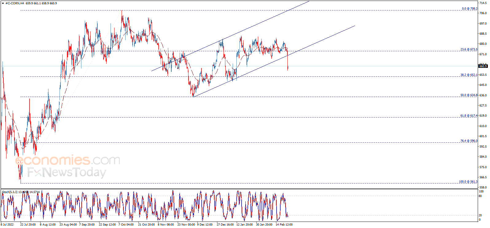 Corn price suffers strong losses – Analysis - 24-02-2023