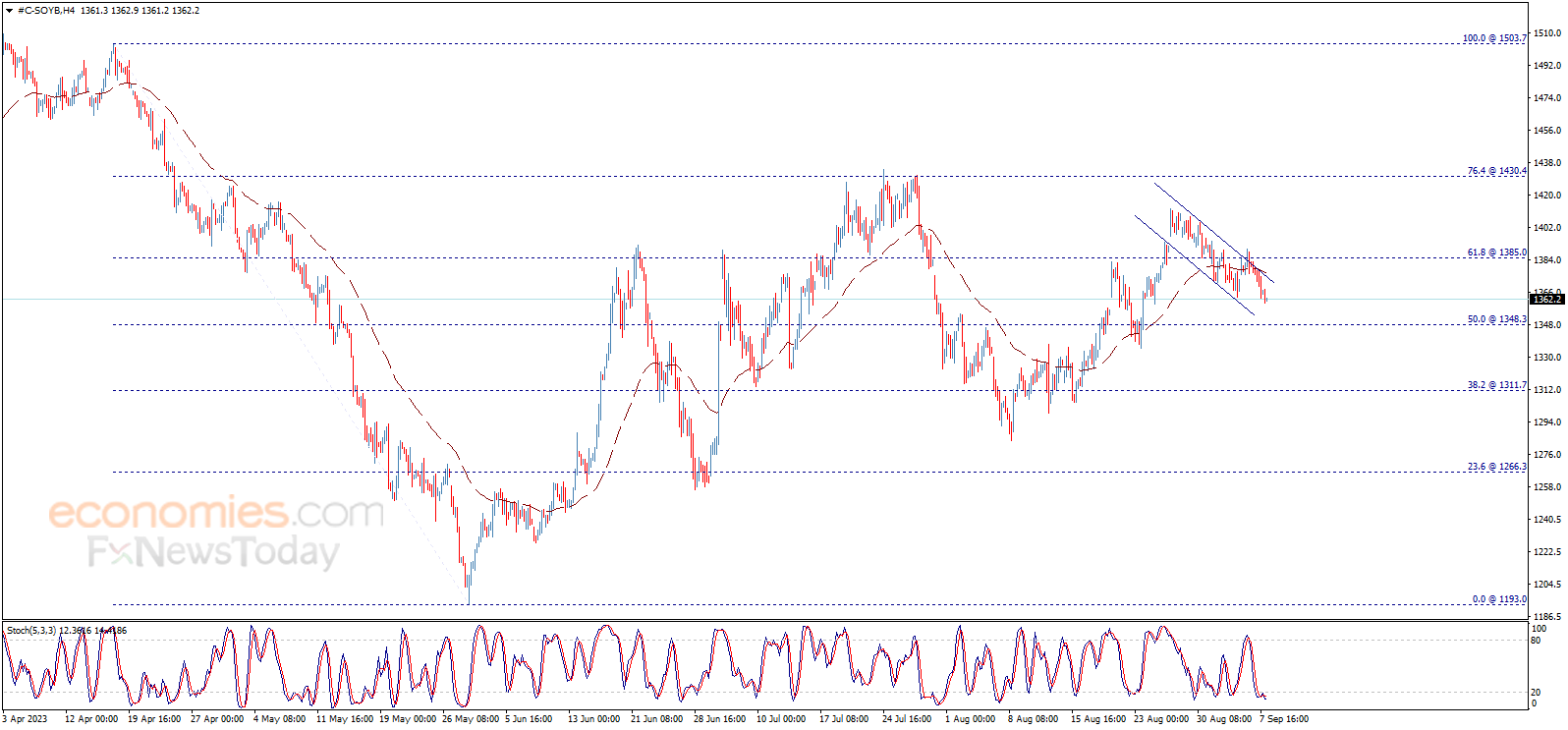 Soybean price resumes the decline – Analysis - 08-09-2023
