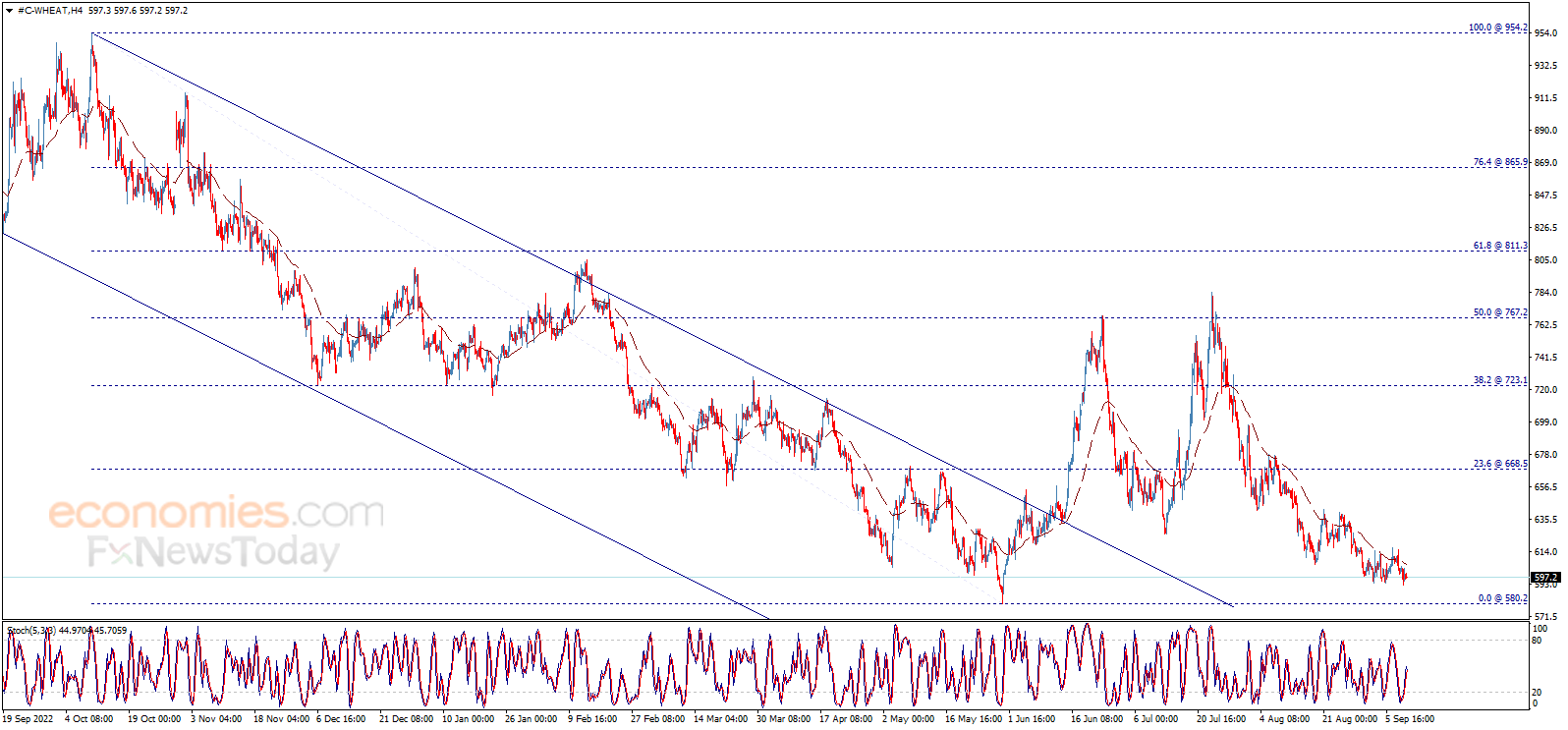 Wheat price loses momentum – Analysis - 11-09-2023