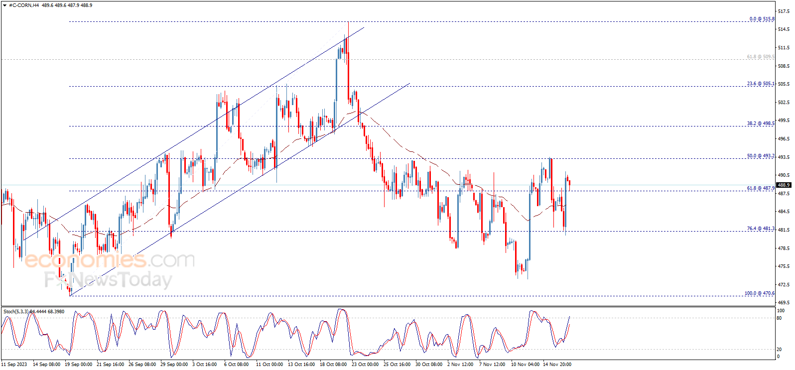 Corn price achieves clear gains – Analysis - 17-11-2023