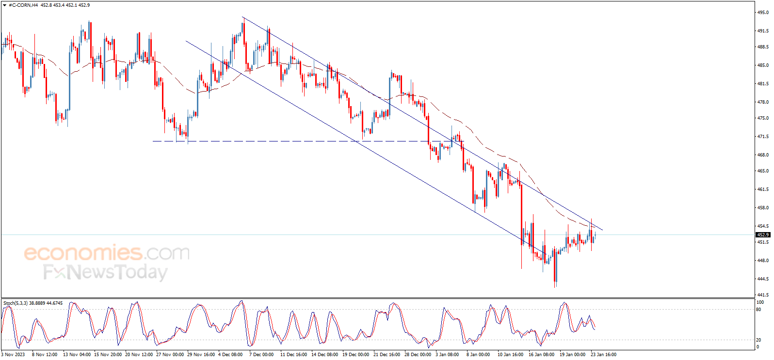 Corn price reaches the target – Analysis - 24-01-2024