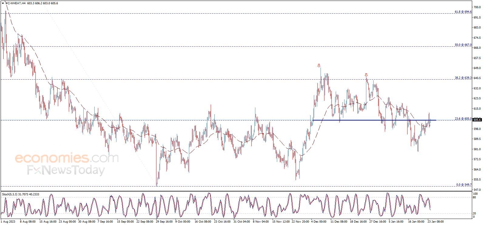 Wheat price attempts to breach – Analysis - 24-01-2024