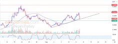 Analiza criptografică
