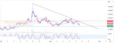 Analiza criptografică