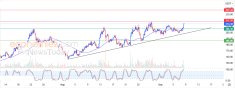Crypto Analysis