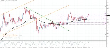 Platinaanalyse