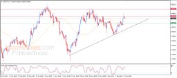 USD CHF Analysis