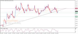 Analyse cryptographique