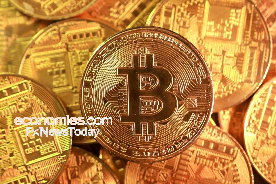 Crypto News