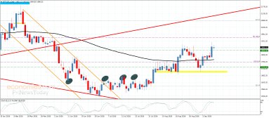 Platinum Analysis