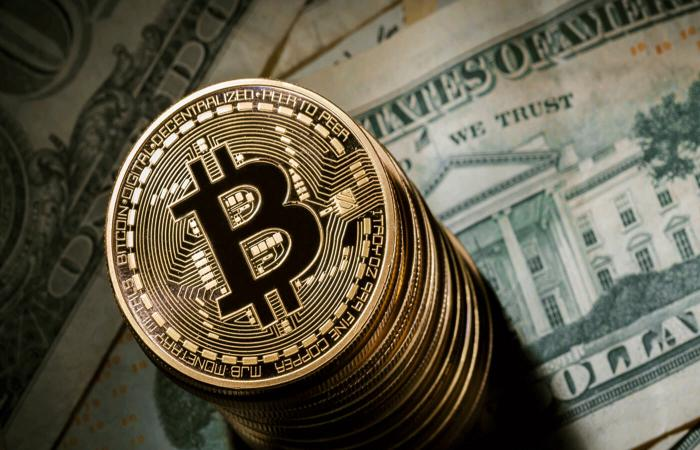 Crypto News